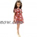 Barbie Fashionistas Doll 97, Kitty Dress   569045977